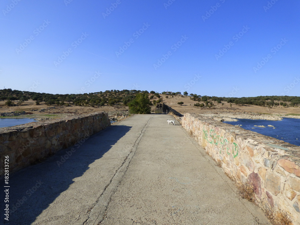 El puente de Ajuda sobre el río Guadiana, entre los municipios de Olivenza  (España) y Elvas (Portugal)