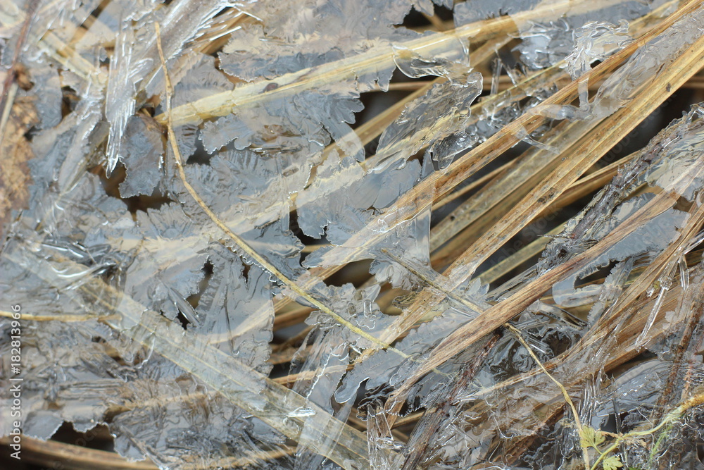landscape with dry grass covered with crystals of ice