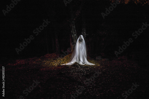 Картината върху платно Ghost in the forest