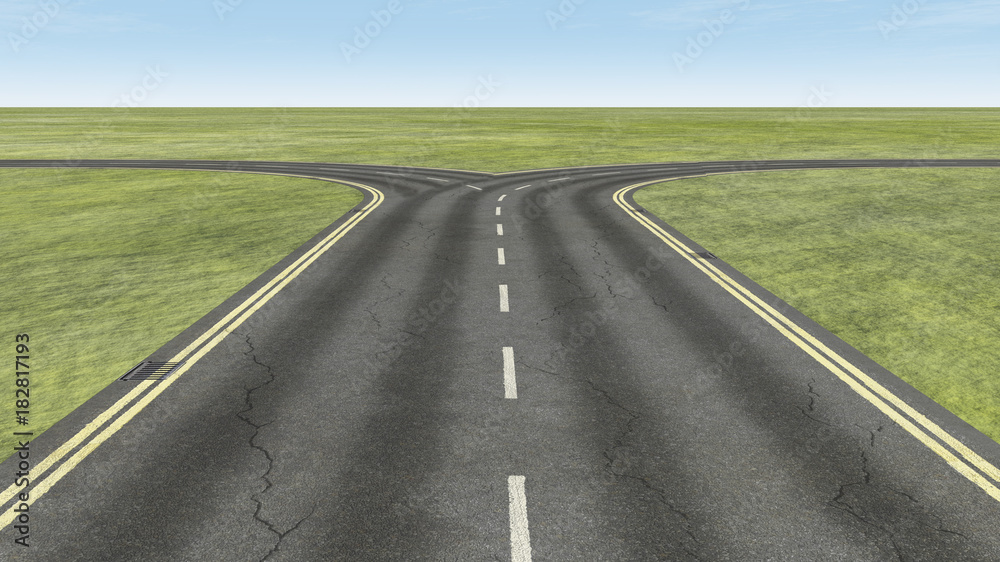 Fototapeta premium In front of a bifurcation