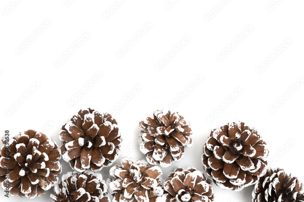 Obraz premium Pine cone on white background