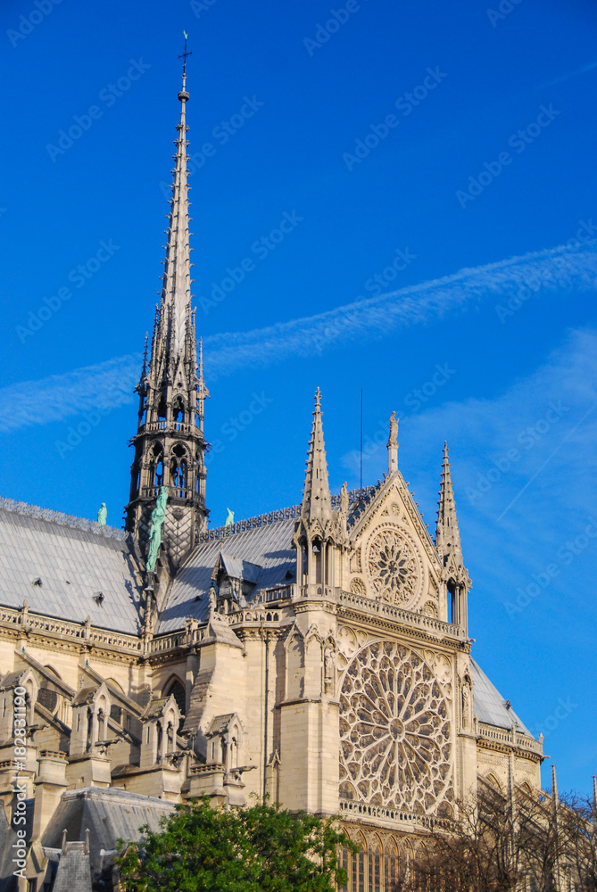 Obraz premium Notre Dame cathedral tower and west facade, Paris