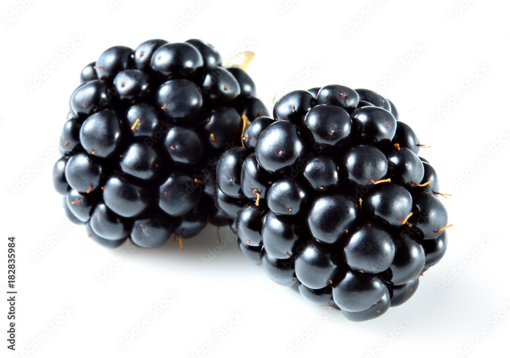 Blackberry isolated on white. Blackberries. Blackberry isolated on white. Blackberries.