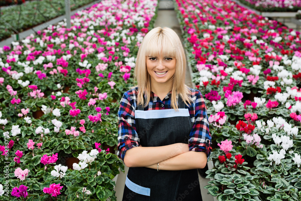 Beautiful young woman flower center worker , standing with crossed hands looking at camera and smiling. Work in greenhouse Beautiful young woman flower center worker , standing with crossed hands looking at camera and smiling. Work in greenhouse
