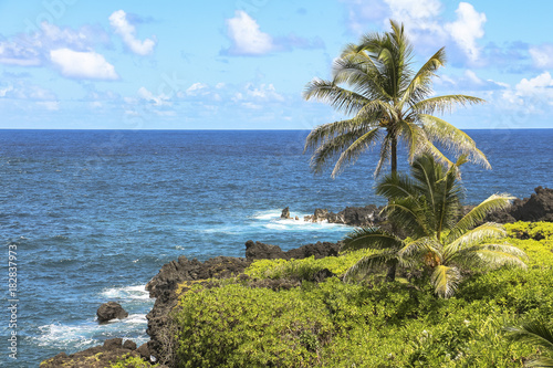 Coastal view with lava rocks on Maui  Hawaii