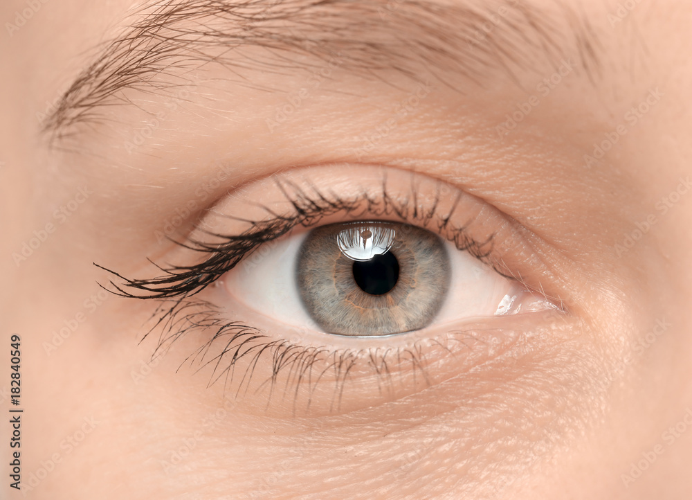 Obraz premium Kobiece oko z długimi rzęsami, zbliżenie