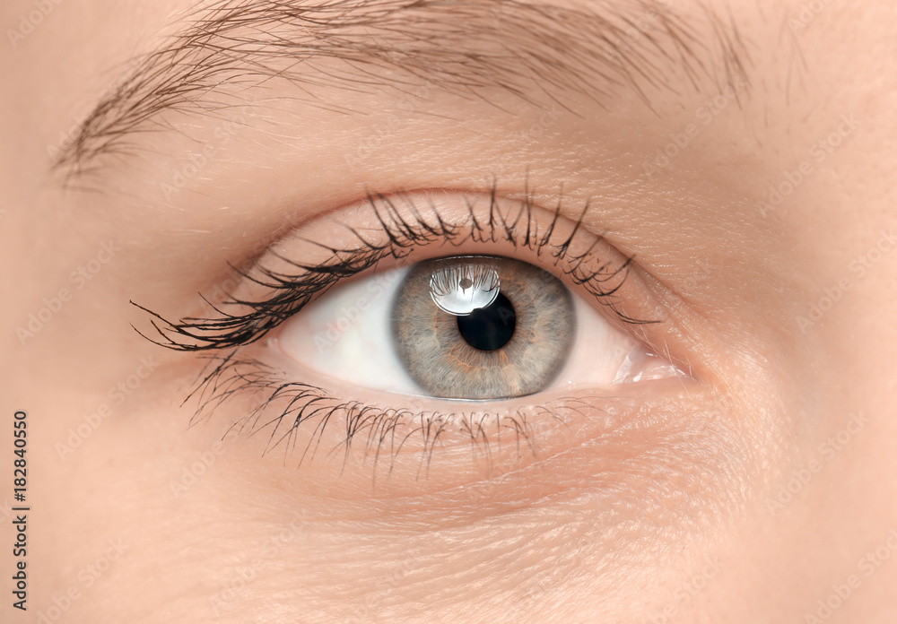 Obraz premium Kobiece oko z długimi rzęsami, zbliżenie