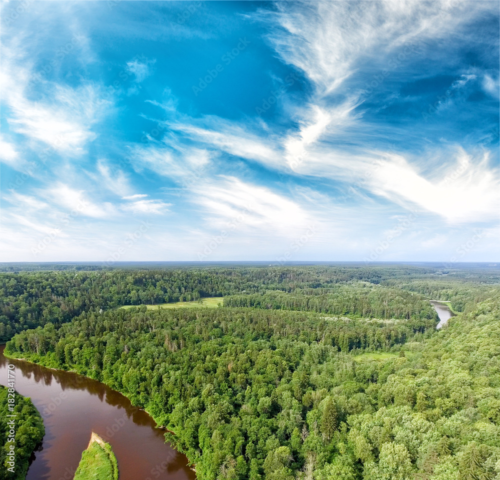 Aerial view of beautiful river across the forest