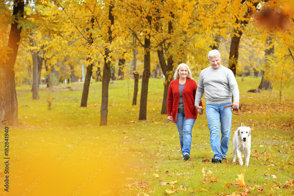 Mature couple walking their dog in park Mature couple walking their dog in park