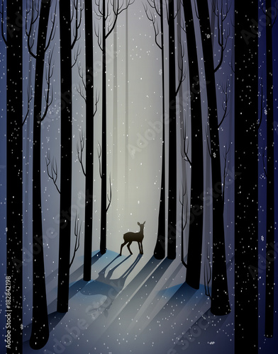 deep fairy frosty winter forest with lonely young deer, shadows,