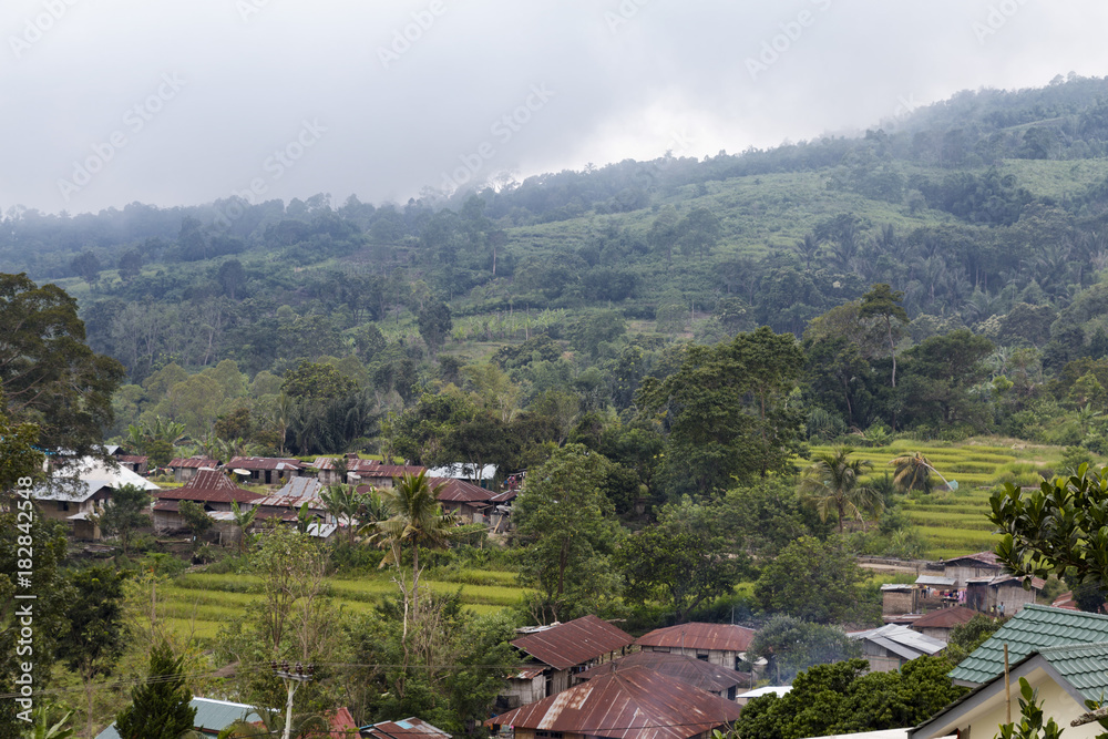 Fototapeta premium View of ricefields and houses in the small village of Moni near Kelimutu in East Nusa Tenggara, Indonesia.