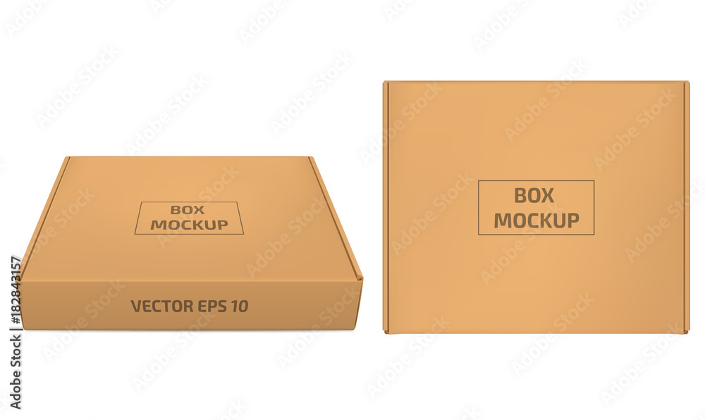 Cardboard box vector illustration. Brown box mockup isolaned on white