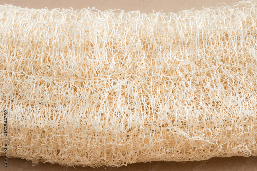 Scientific name is Luffa cylindrica (L.) M.J.Roem. Close up view of dry thread and pattern of old Sponge gourd.  - obrazy, fototapety, plakaty 