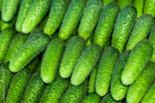 Many fresh green bio cucumbers at a local market or farmers shop. Vegetable cucmber background