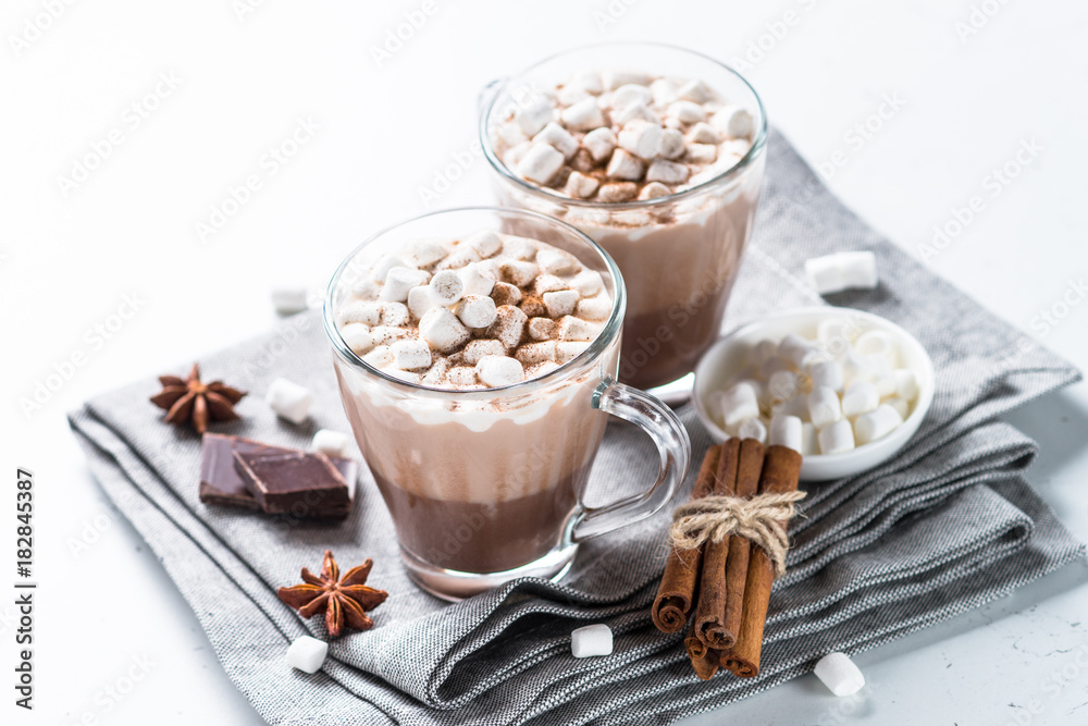 Hot chocolate or cocoa with marshmallow. Hot chocolate or cocoa with marshmallow.