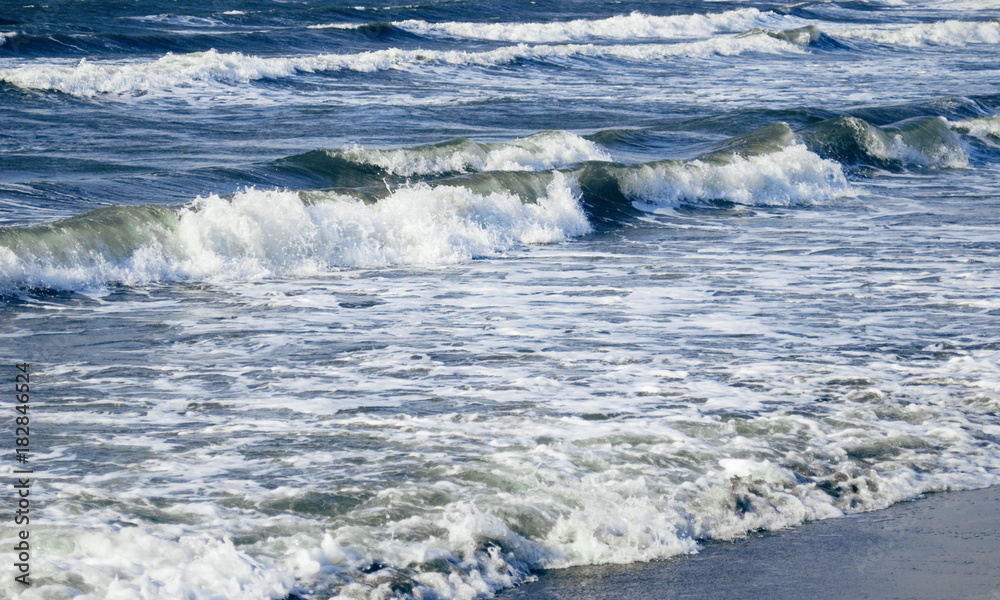 海 素材 海 素材
