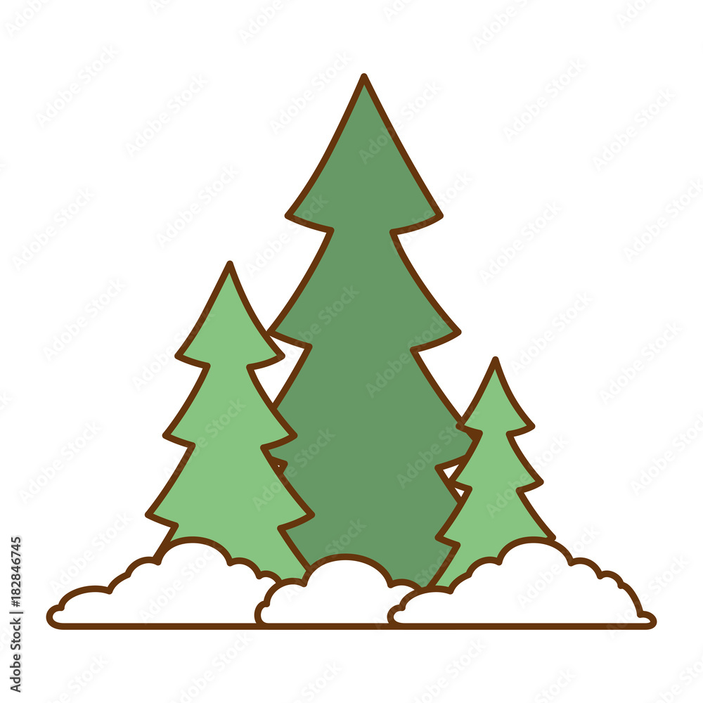 Fototapeta premium pine forest scene icon vector illustration design
