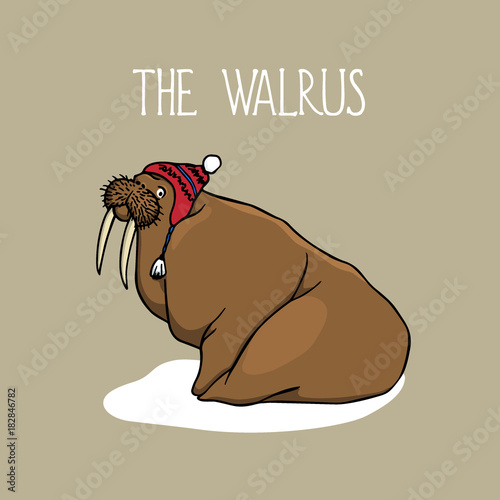 Hand drawn walrus