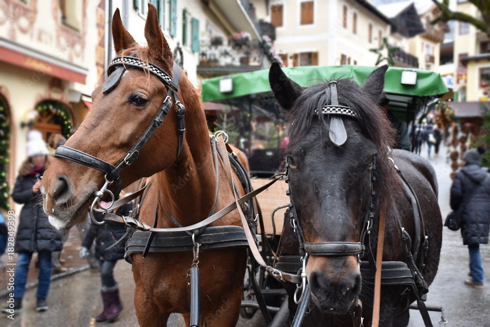 Fototapeta premium Advent in Austria