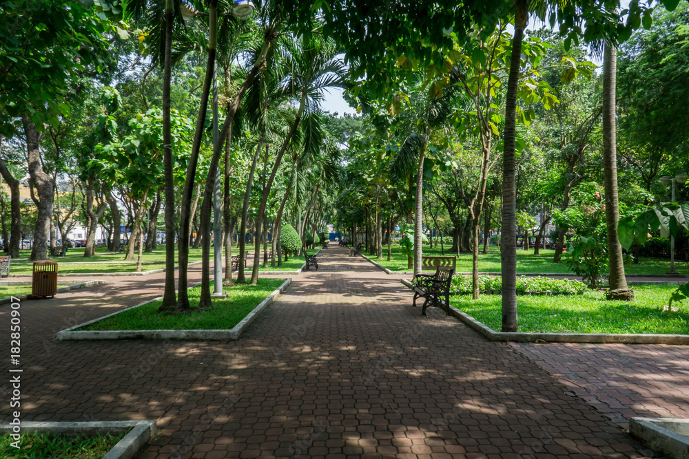 Alley in central park of Saigon. Ho Chi Minh City, Vietnam. Alley in central park of Saigon. Ho Chi Minh City, Vietnam.