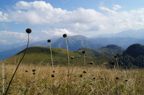 untouched nature of the Krasnodar Territory Malyi Bambaki ridge photo