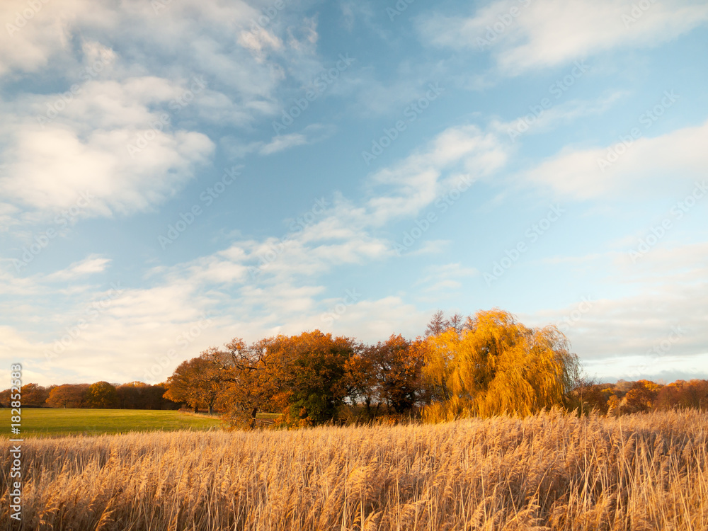 beautiful open landscape countryside space blue sky white clouds autumn beautiful open landscape countryside space blue sky white clouds autumn