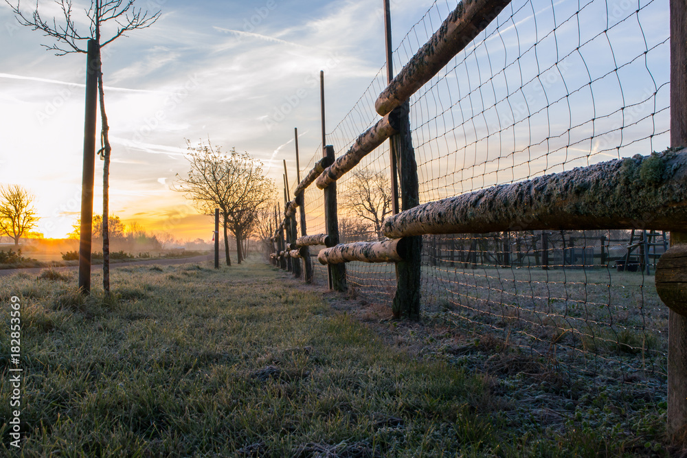 Obraz premium fenced in fields