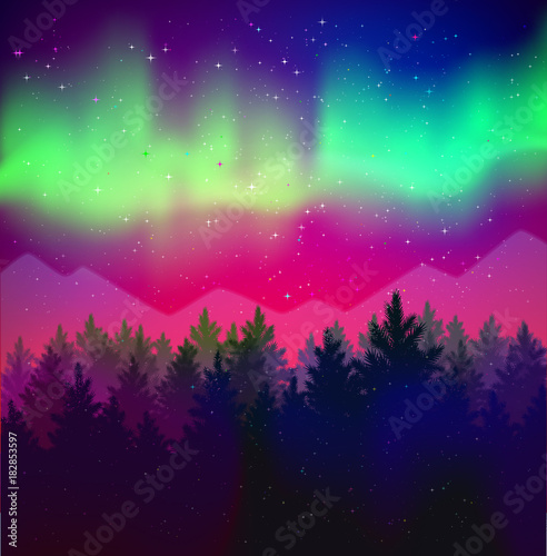 landscape with northern lights and spruce forest