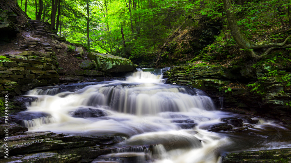 Glen Rickets Waterfalls