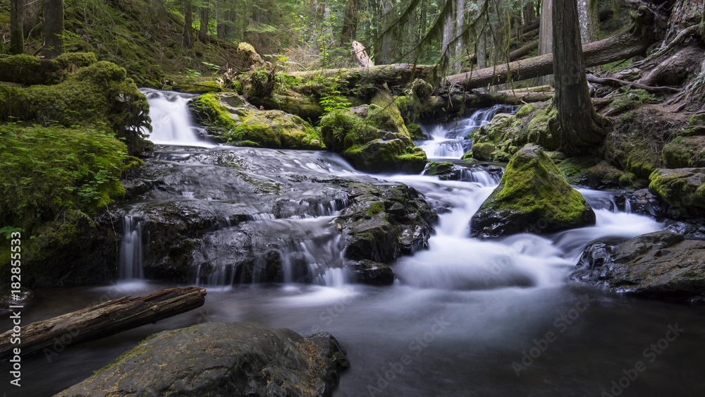 Panther Creek Waterfalls