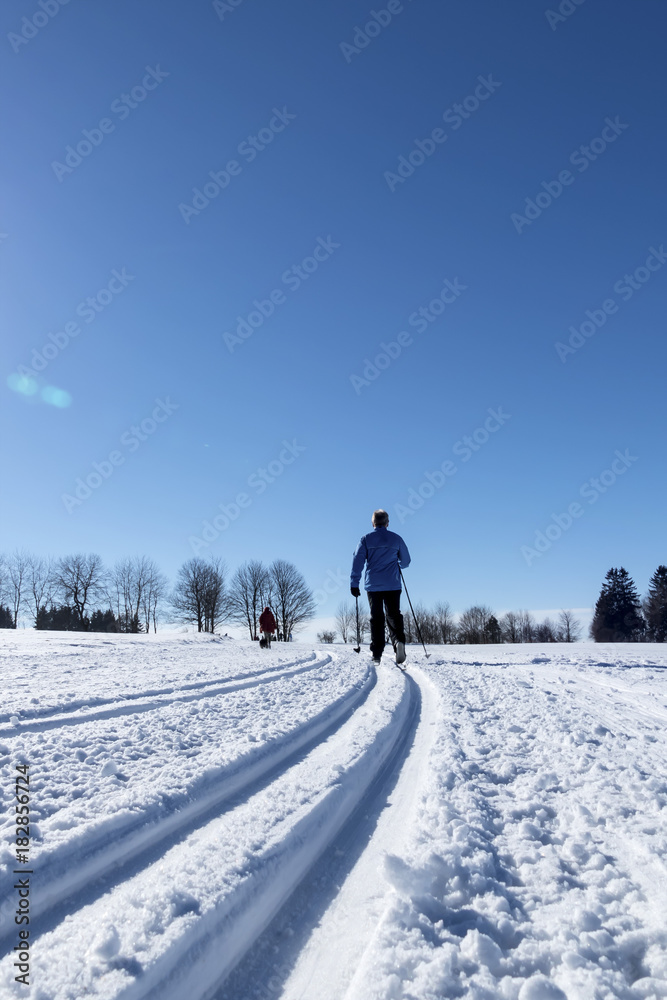 winter sports cross-country skiing