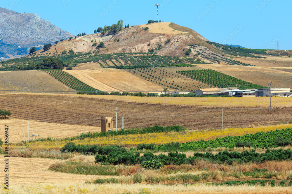 Fototapeta premium Sicily summer agriculture countryside, Italy