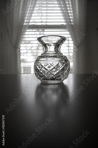 Crystal Vase in front of Window