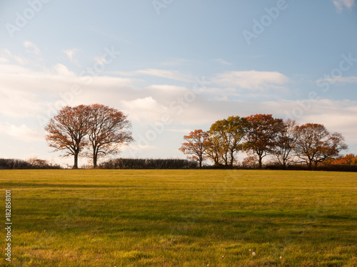 empty grass land country trees blue sky clouds landscape plain