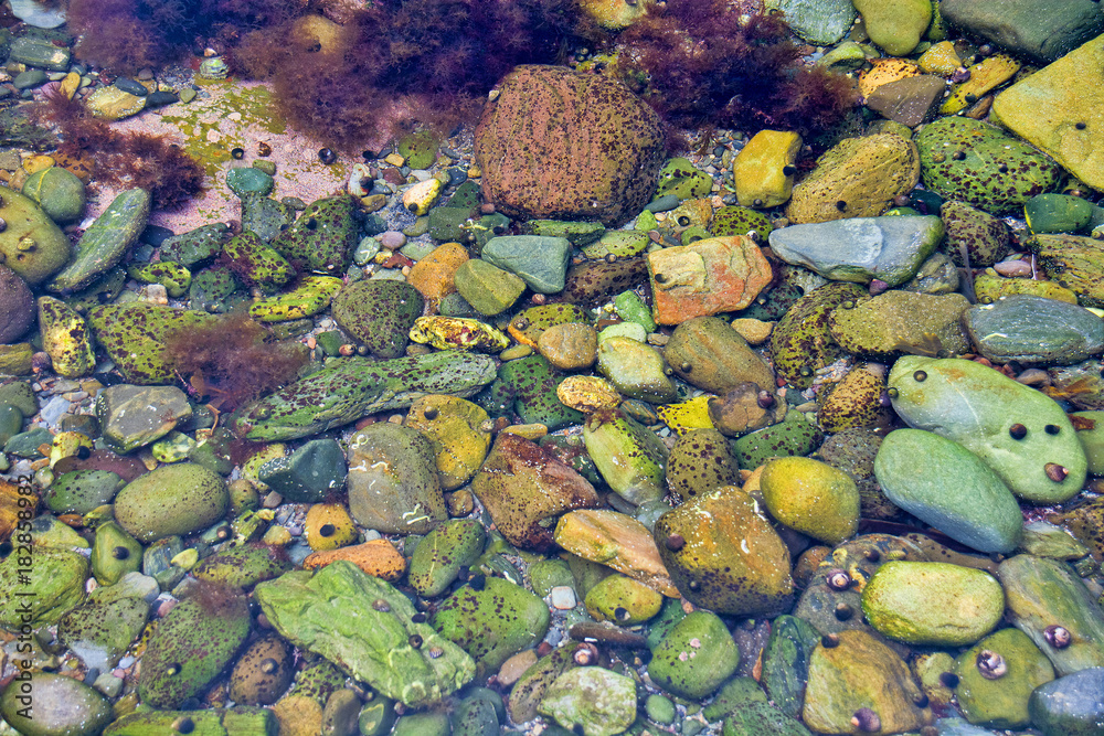 Rock pools on Wild Atlantic Way Rock pools on Wild Atlantic Way