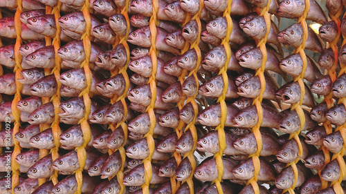 Dried fishing neatly hanged in rows at a more traditional shop in Songjeong Station Market near Songjeong KTX Station, Gwangju, South Korea. photo