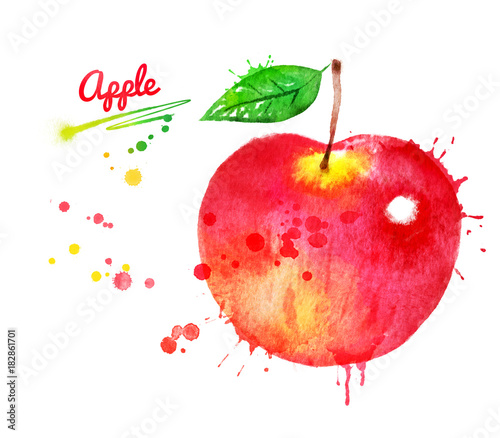 Watercolor illustration of red apple