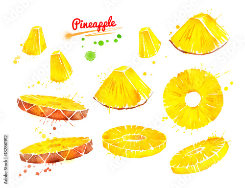 Watercolor illustrations set of sliced pineapple