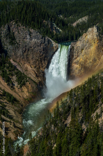 Lower Yellowstone Falls  Wyoming