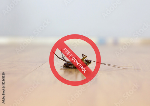 Dead cockroach on floor with caution sign pest control 