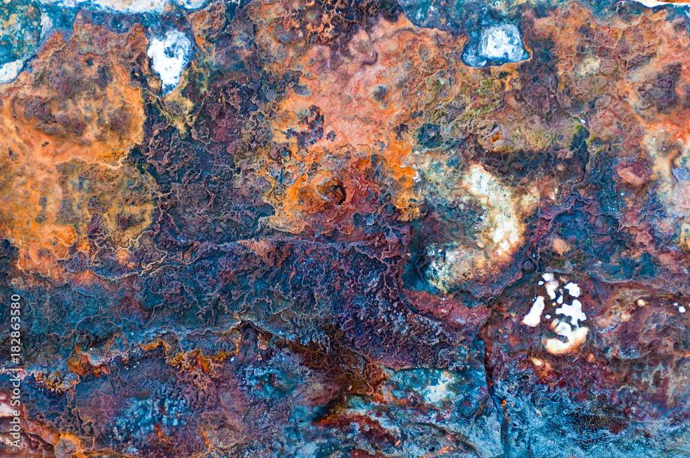Colorful spots on a wet rock