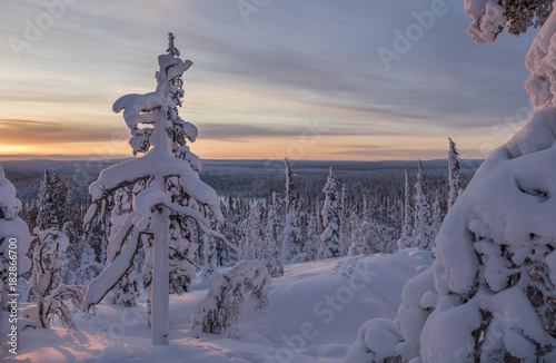 Beautiful winter landscape from Northern Finland