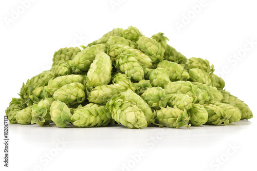Heap of fresh green hops (Humulus lupulus) isolated on white background. Pile of hops, ingredient for brewery industry.