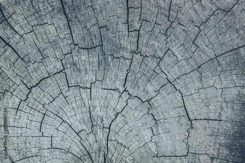 close up of abstract wooden texture