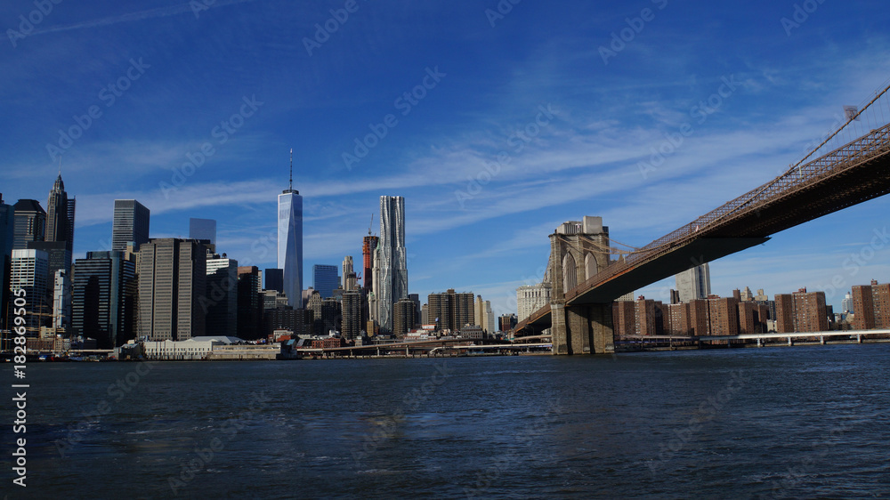Naklejka premium Panoramę Nowego Jorku z Brooklyn Bridge Park