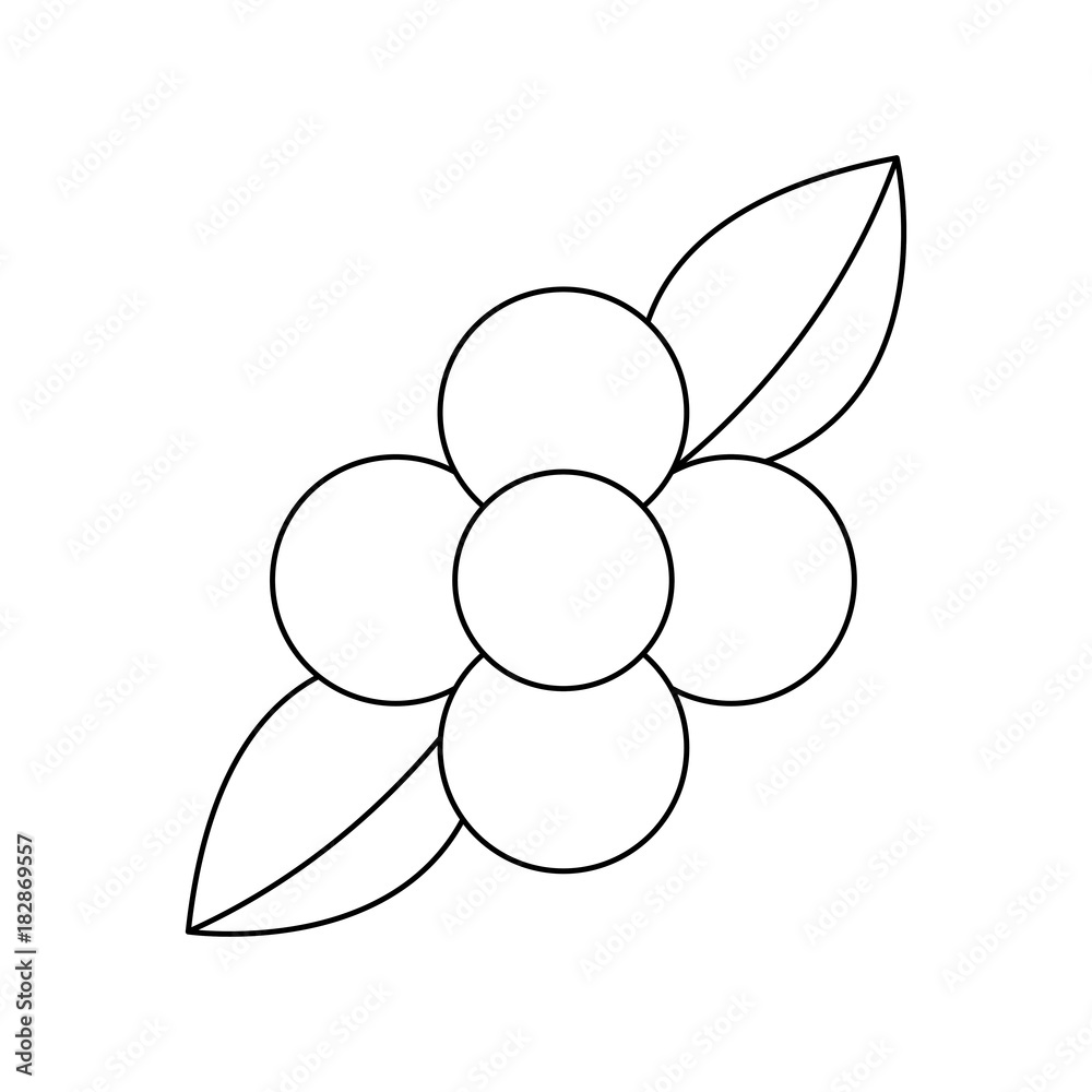 beauty flower leaves natural flora vector illustration beauty flower leaves natural flora vector illustration