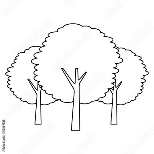 three tree plant botanical natural forest vector illustration