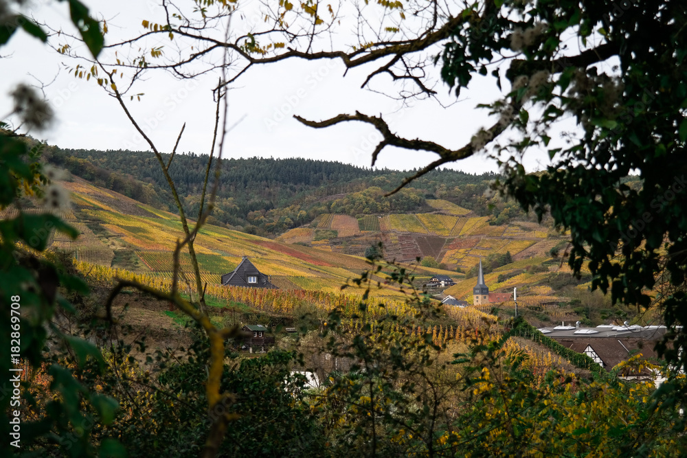 View over the vineyards of Mayschoss in Ahr Valley, Germany View over the vineyards of Mayschoss in Ahr Valley, Germany