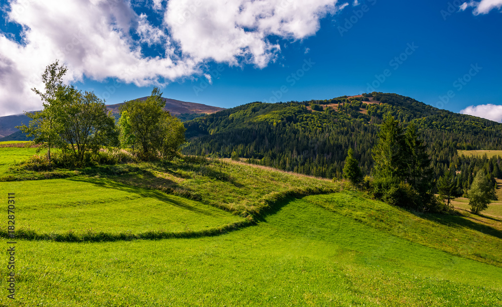 grassy field in mountainous rural area. beautiful countryside scenery with lovely sky on a summer day