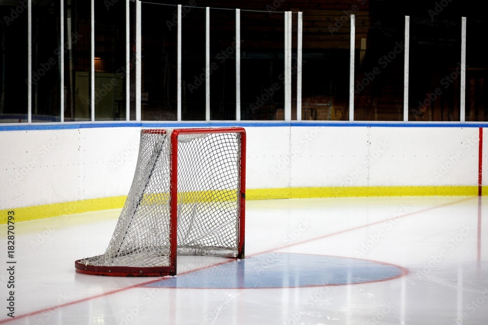 Naklejka premium Empty hockey rink